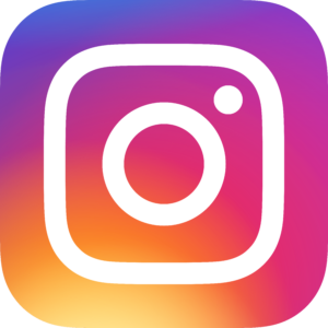 Icône logo Instagram original